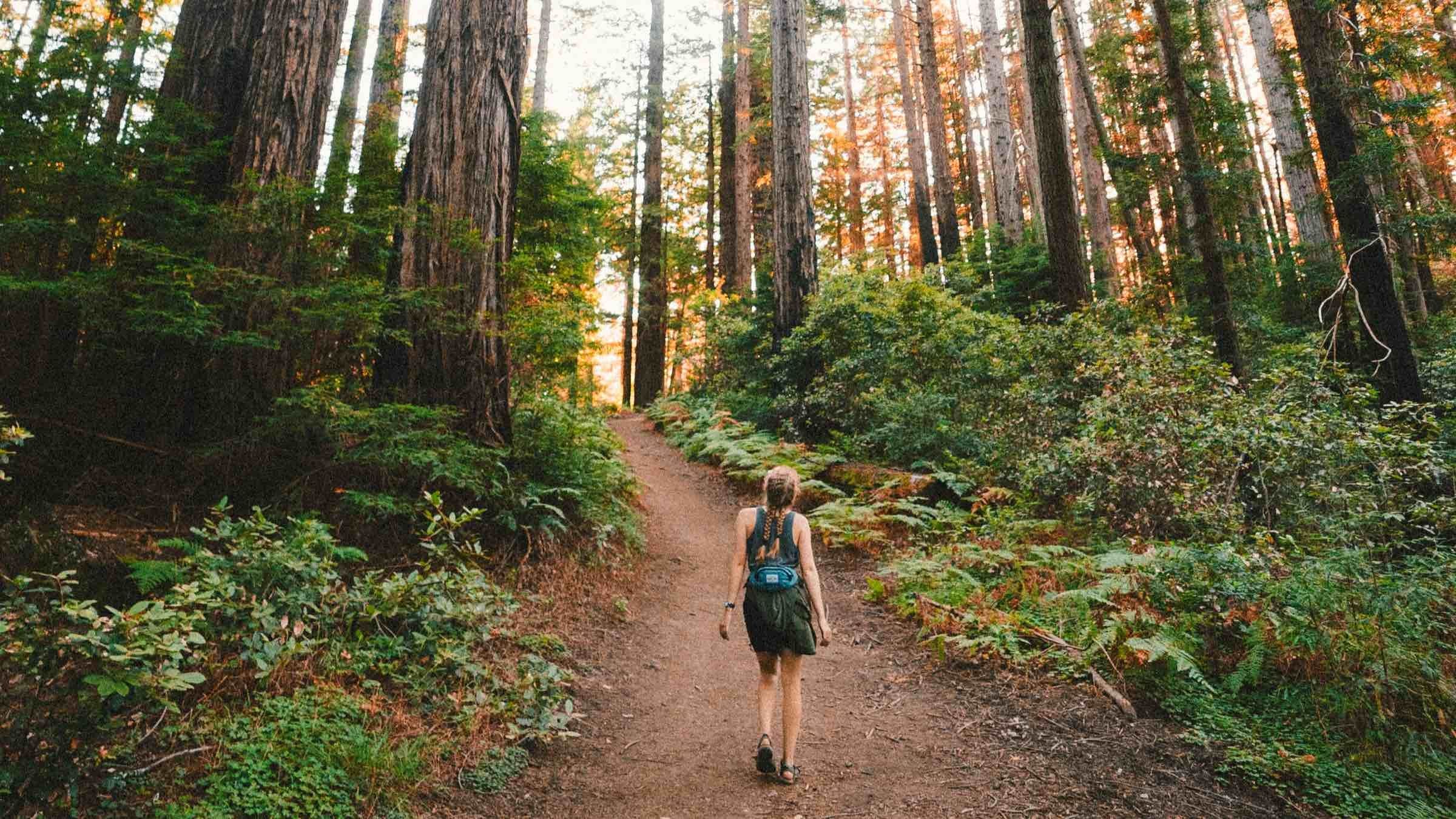 The 5-Step Path to Realizing Perfect Freedom