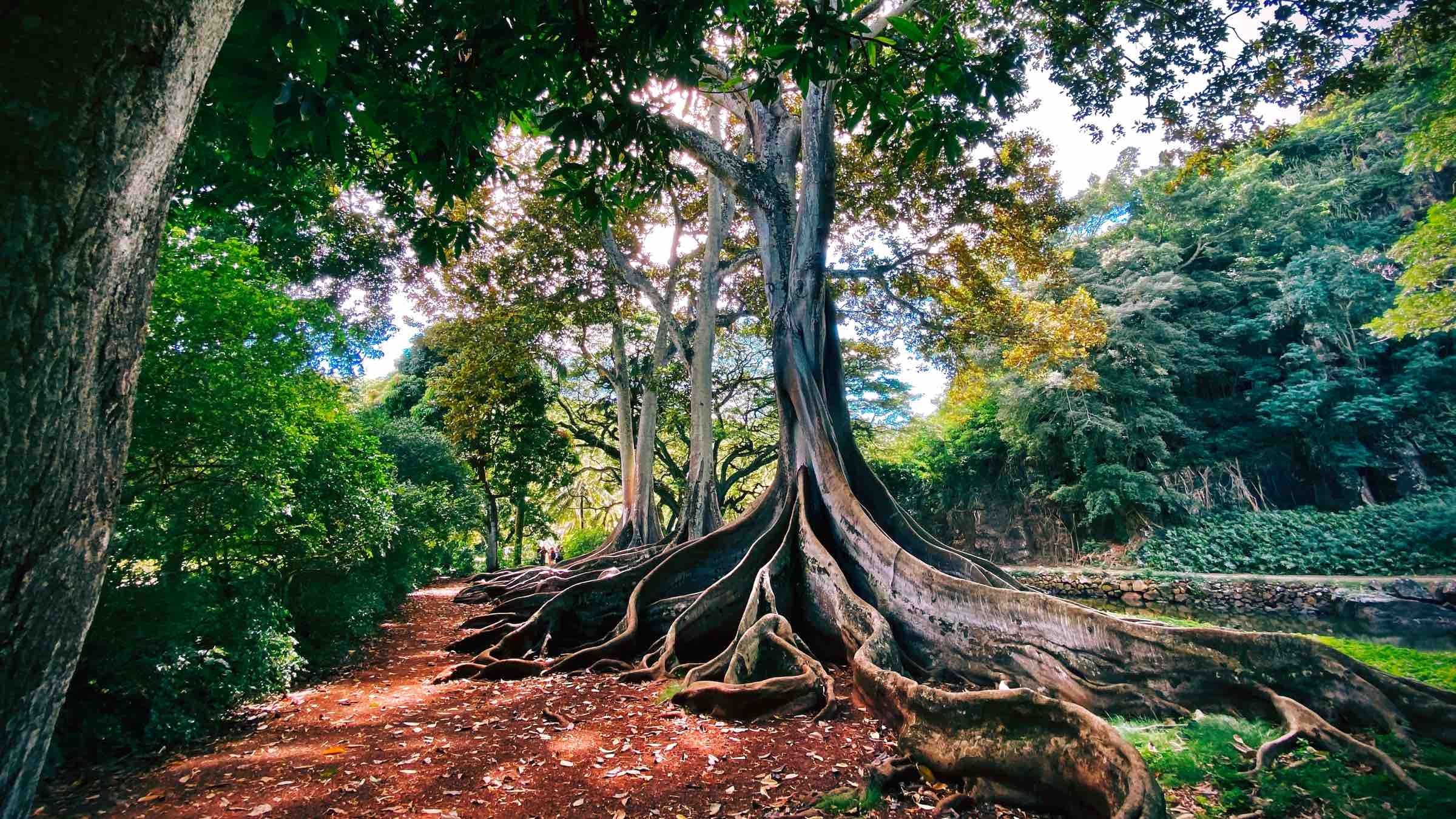 Discover the Unseen Root of Addiction, Dependency and Other Self-Destructive Choices