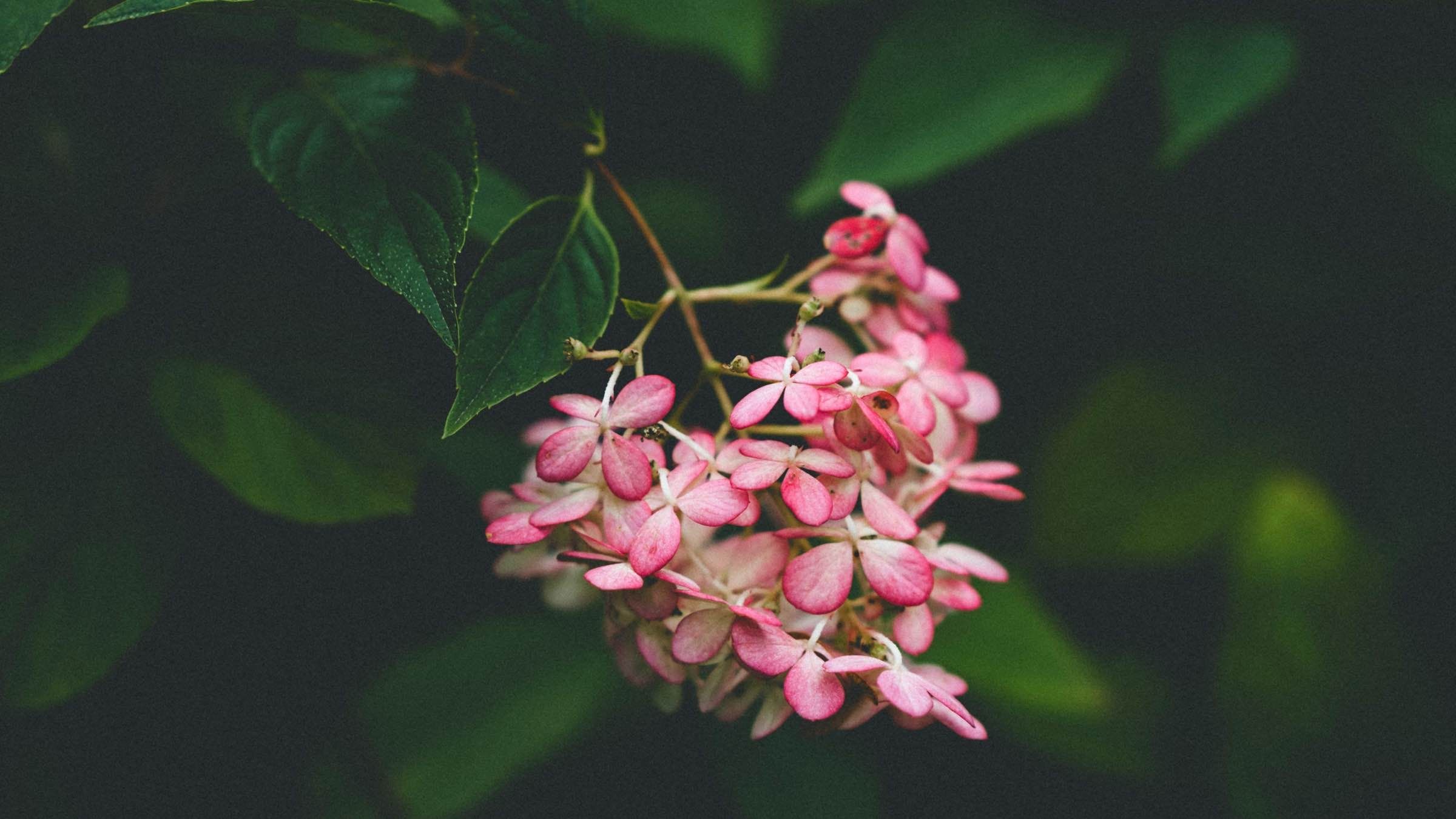 The Secret of Being at Peace with Yourself