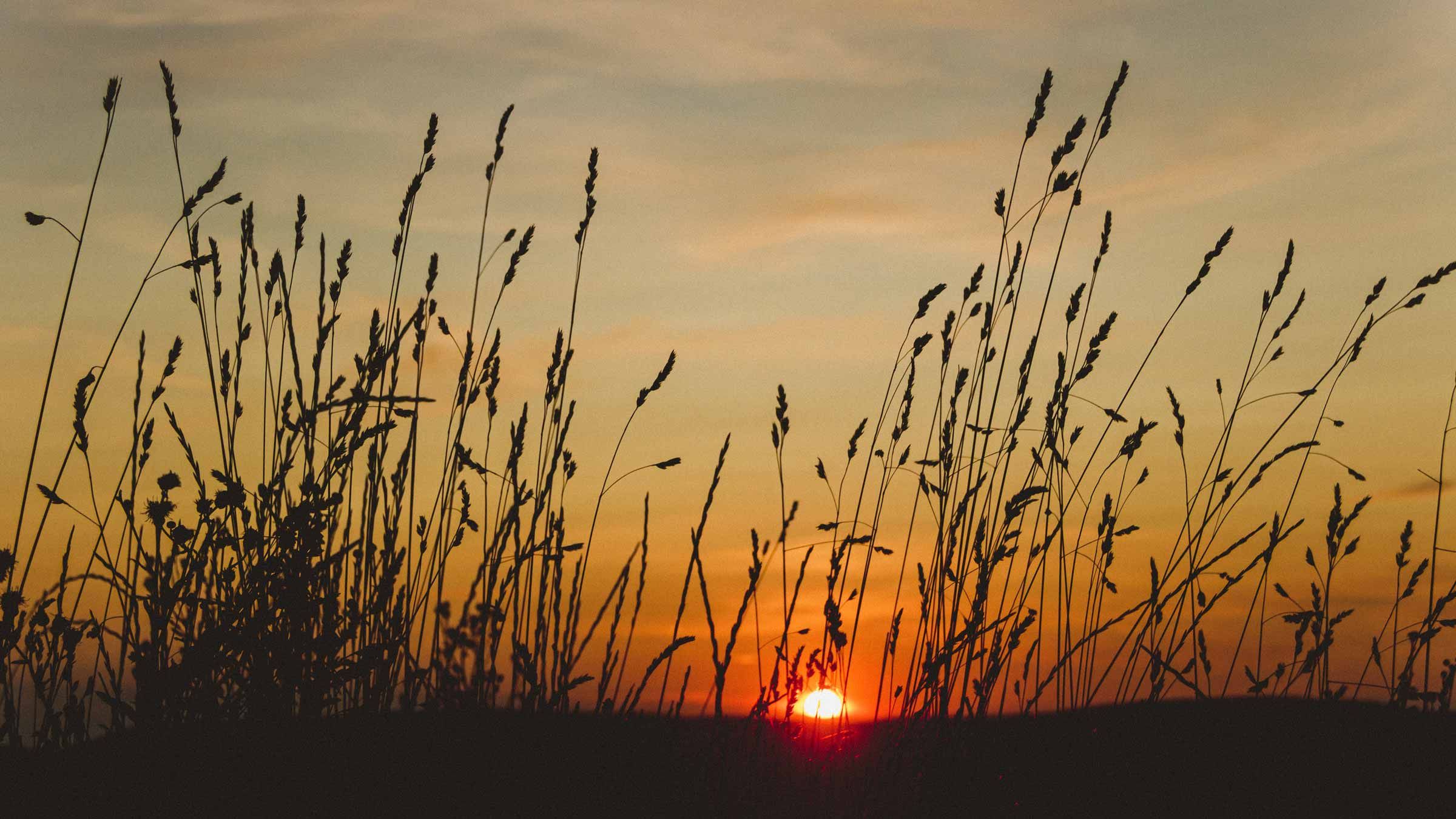 Make Every Experience Count Toward Enlightenment