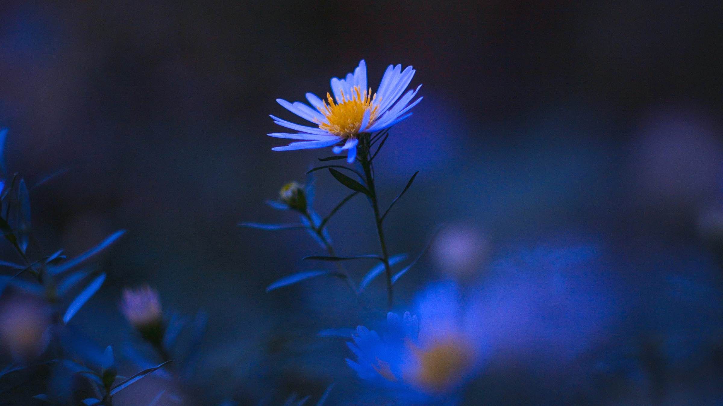 Stop Being Carried Away by Fearful Thoughts and Feelings