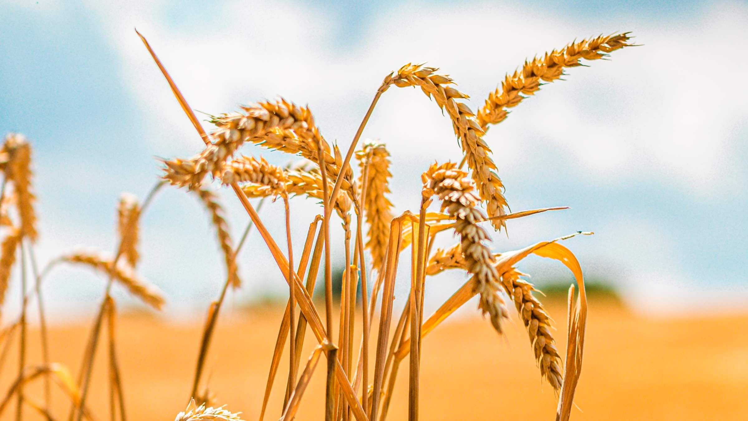 Student Q&A with Guy on 