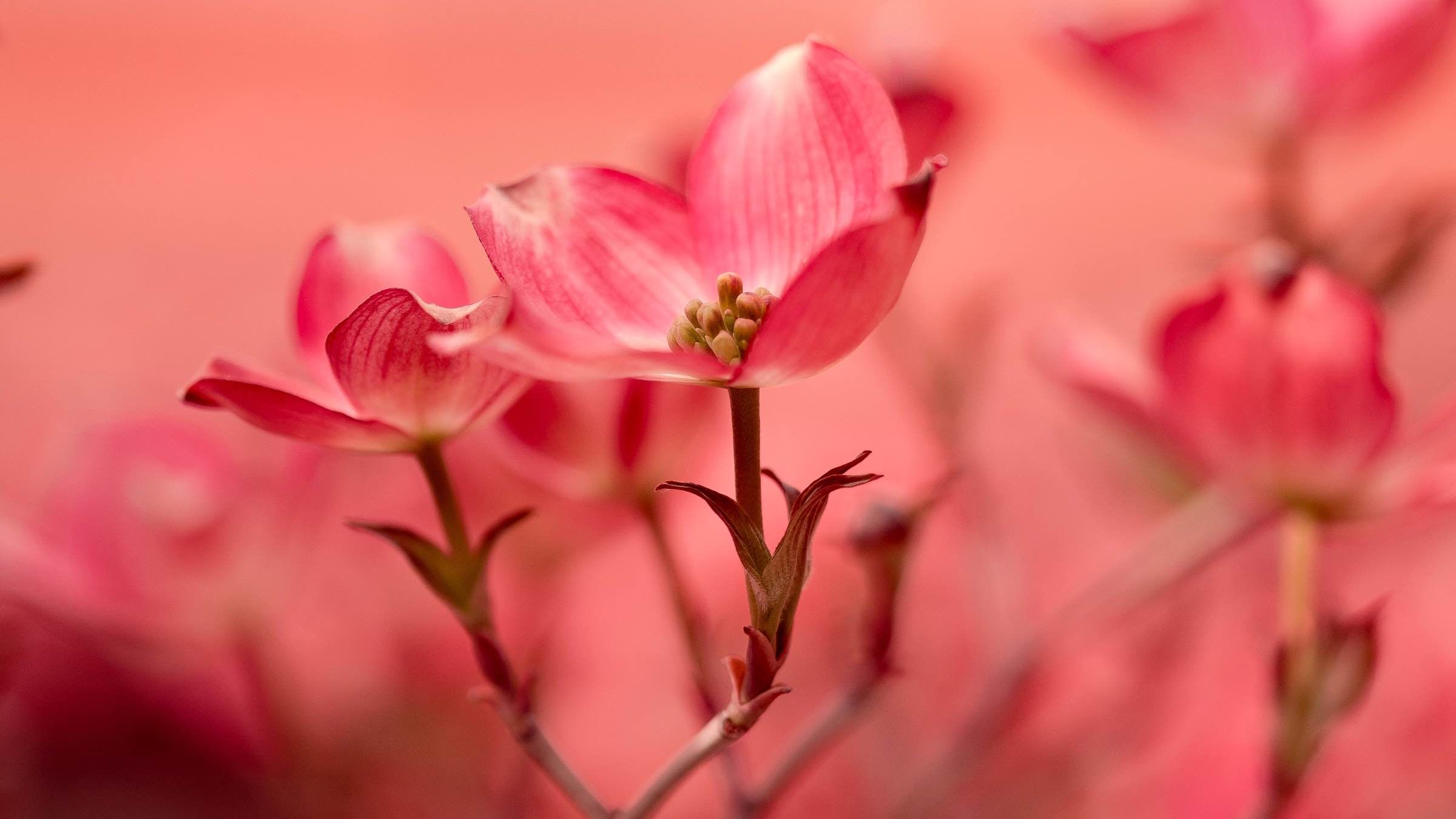 Student Q&A with Guy on 