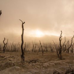 Exposed: The Evolution of Evil: Your Right to Live in the Light