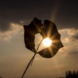 Start Healing Your Heart, Mind, and Soul