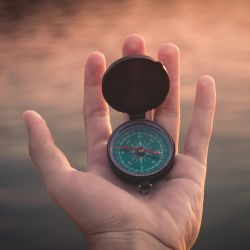 The Complete Guide to Freedom From Painful Negative Reactions 