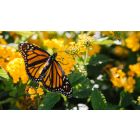 Three Words that Prevent Real Change