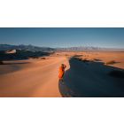 A Whole New Order of Self-Understanding