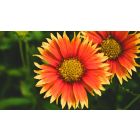 How Your Desire for Approval Keeps You Imprisoned