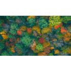 The Presence and Power of an Interior Stillness