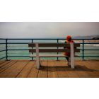 Break the Familiar Pattern of Pain and Blame