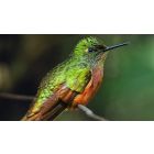 The Secret of Knowing Without Thinking