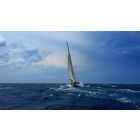 Real Life is the Expression of Living Intelligent Forces