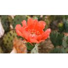 We Get Exactly What We Give