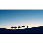 What Is Within You Is Changed By The Light that Shows It To You