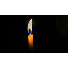 Bringing Yourself Back Into the Great and Unconditioned Now Where All Is One