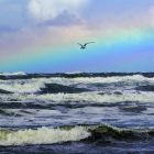 Use This Pair of Spiritual Wings to Lift You Over the Rainbow