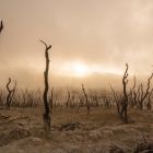 Exposed: The Evolution of Evil: Your Right to Live in the Light