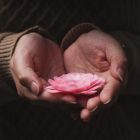 Commentary on Bringing an End to Global Conflict: The First Step in Breaking Down Borders