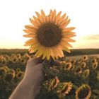 12 Steps to Spiritual Rebirth: Commentaries on the Beatitudes