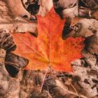 Higher Lessons in Letting Go and Letting God