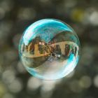 The Secret Life of Dreams