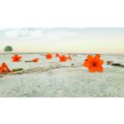 Student Talks on "Enter the Gateway to Your Greatest Spiritual Possibilities" (5/12/23)