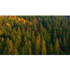 Move from the Mental How into the Spiritual Now