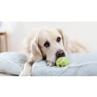 Your Right to Rule Over Self-Wrecking States