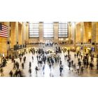 Fools Rush In Where the Wise Fear to Tread