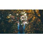 Enjoy Being Exactly Who You Are!