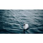 Find the Freedom Without Direction