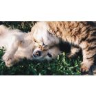 Let Love Stand By You in Your Hour of Need