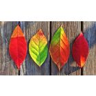 You Don't Have to Fear Changes If You Change With Them