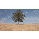 Bring Your Loneliness into the Light