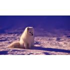 Stop Blocking the Light that Heals