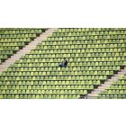 Do Your Part to Step Out of Negativity and Into the Light