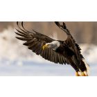 The Only True Answer to Any Anxiety