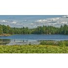 Online Study Group Meeting for Monday (8/31/2020)