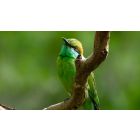 Student Talks on "Do This When It Feels Like Life Is Trying to Pull You Apart" (7/14/23)