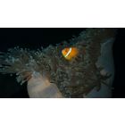 Stop Being Afraid of Unwanted Moments