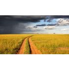 Learn to Embrace Life's Most Difficult Moments