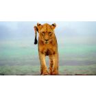 A World in Which There Is No Limit to the Possibilities