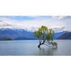 New Insights into the Strange Logic of Self-Created Misery