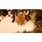 Step Out of the Chains Called Self-Control