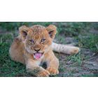 Never Again Feel Like a Victim!