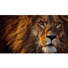 Move from the Mental How into the Spiritual Now