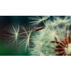 Healing Begins with the Awareness that Something is Out of Order