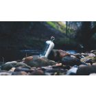 Open Yourself to Heaven's Endless Messages