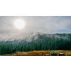 Let Go and Enter the Flow of Even Your Most Unwanted Moments